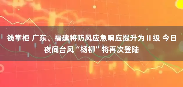 钱掌柜 广东、福建将防风应急响应提升为Ⅱ级 今日夜间台风“杨柳”将再次登陆