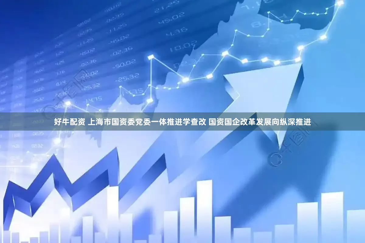 好牛配资 上海市国资委党委一体推进学查改 国资国企改革发展向纵深推进