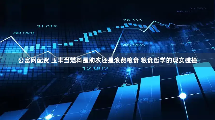 公富网配资 玉米当燃料是助农还是浪费粮食 粮食哲学的现实碰撞
