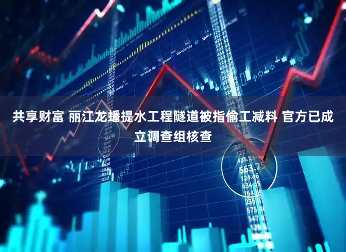 共享财富 丽江龙蟠提水工程隧道被指偷工减料 官方已成立调查组核查