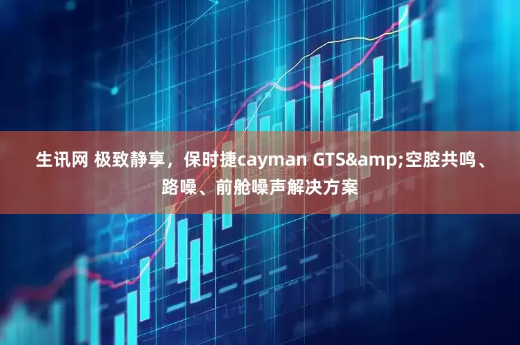 生讯网 极致静享，保时捷cayman GTS&空腔共鸣、路噪、前舱噪声解决方案