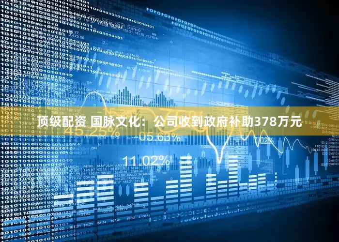 顶级配资 国脉文化：公司收到政府补助378万元