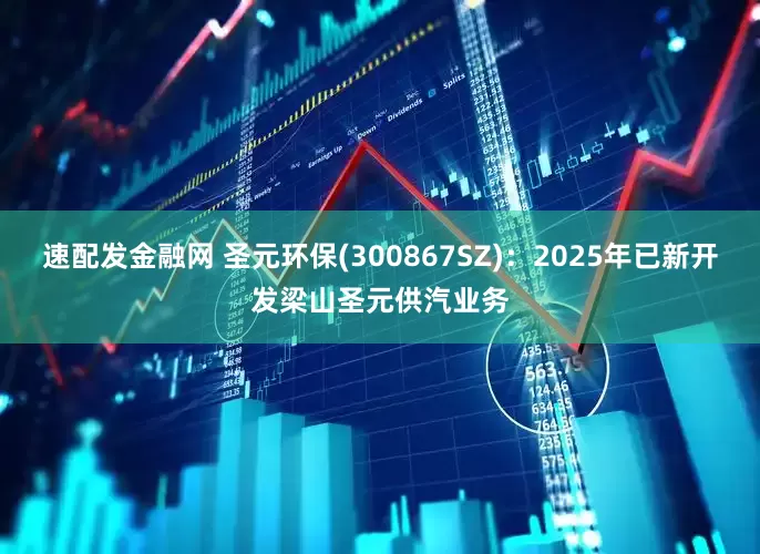 速配发金融网 圣元环保(300867SZ)：2025年已新开发梁山圣元供汽业务